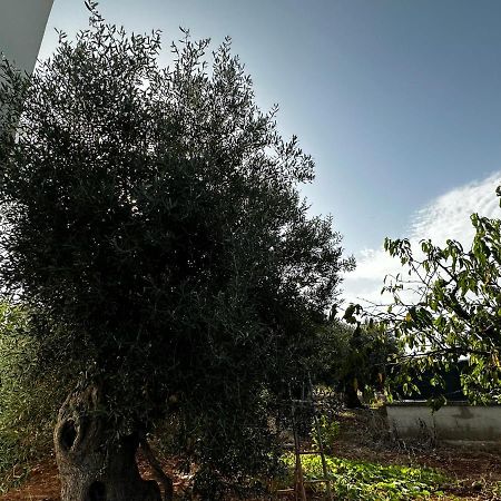 شقة Casa Bianca Relax كاستيلانا غروتي المظهر الخارجي الصورة